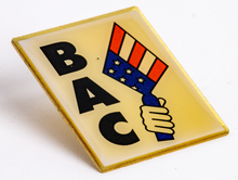 Load image into Gallery viewer, L13- BAC PATRIOTIC LAPEL PIN